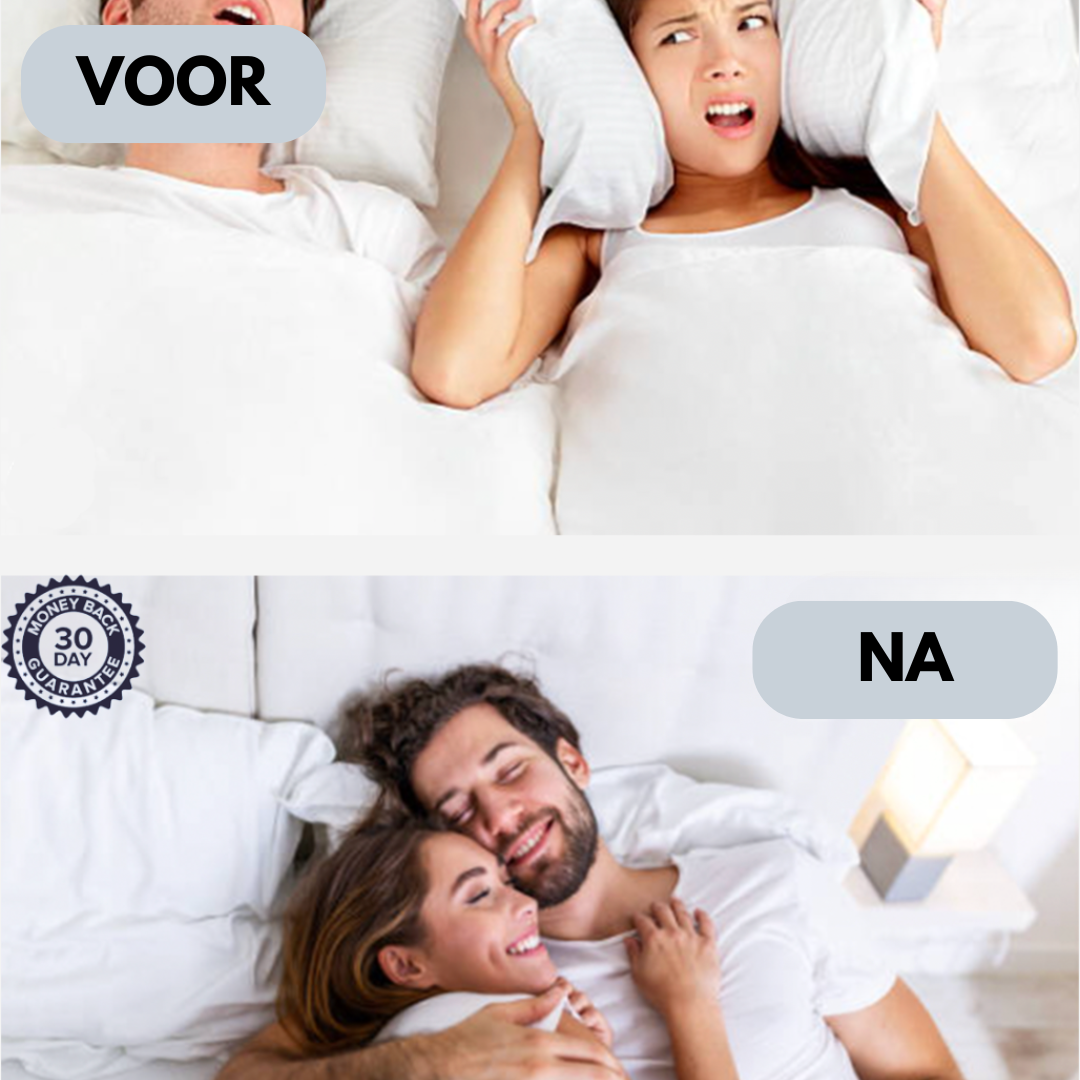 SleepSnoozer