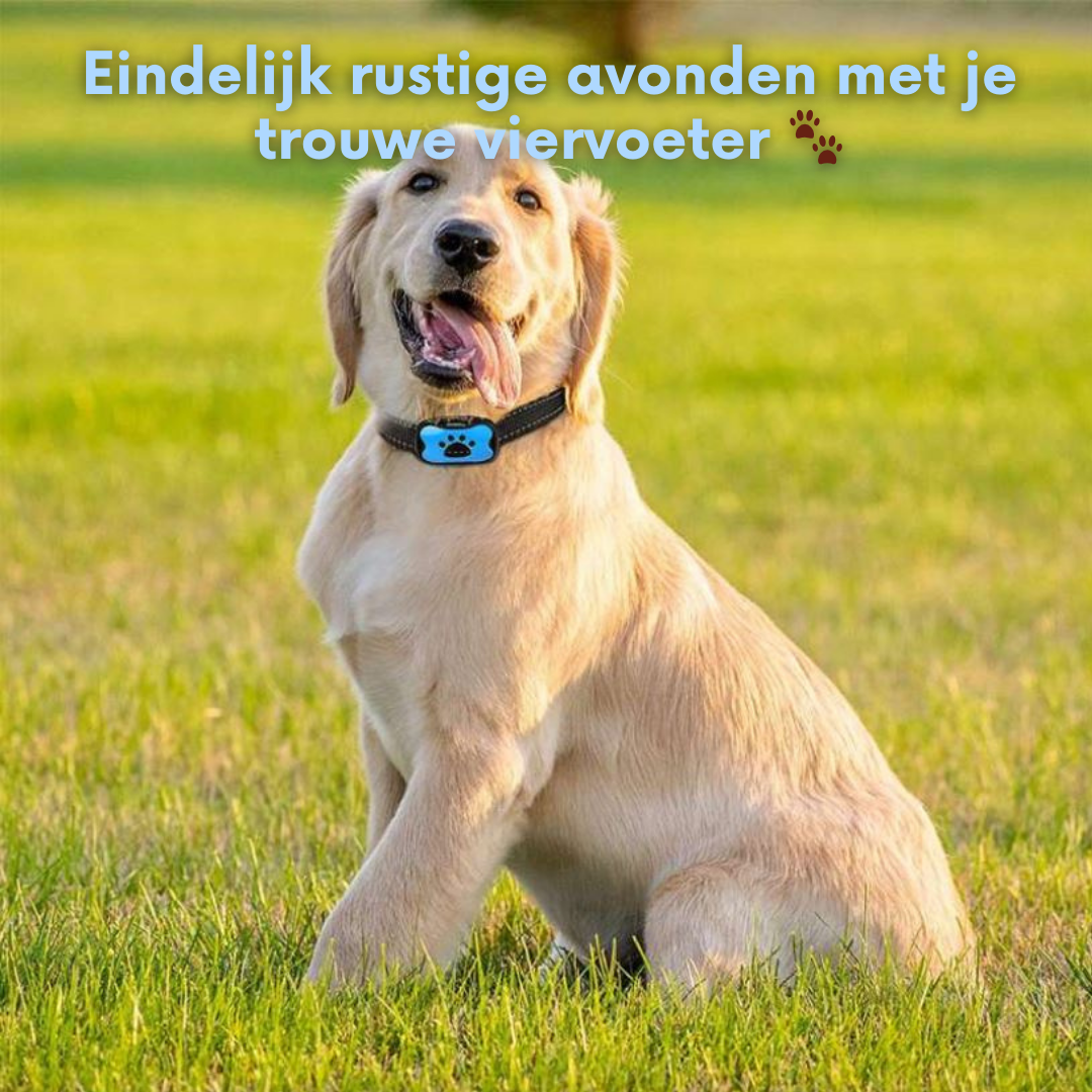 SilentBark™ | Het Ultieme Honden Trainingshalsband