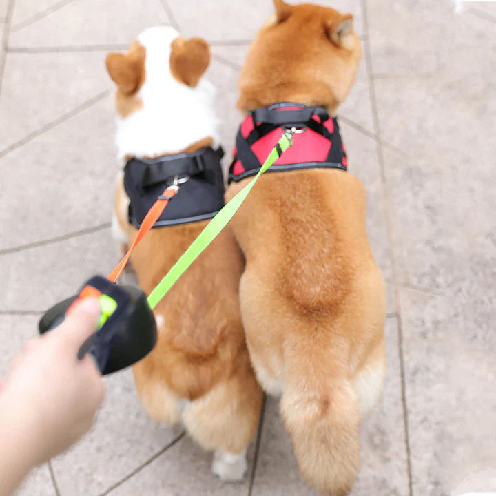 DualDoggy™ 2.0 Intrekbare Hondenriem