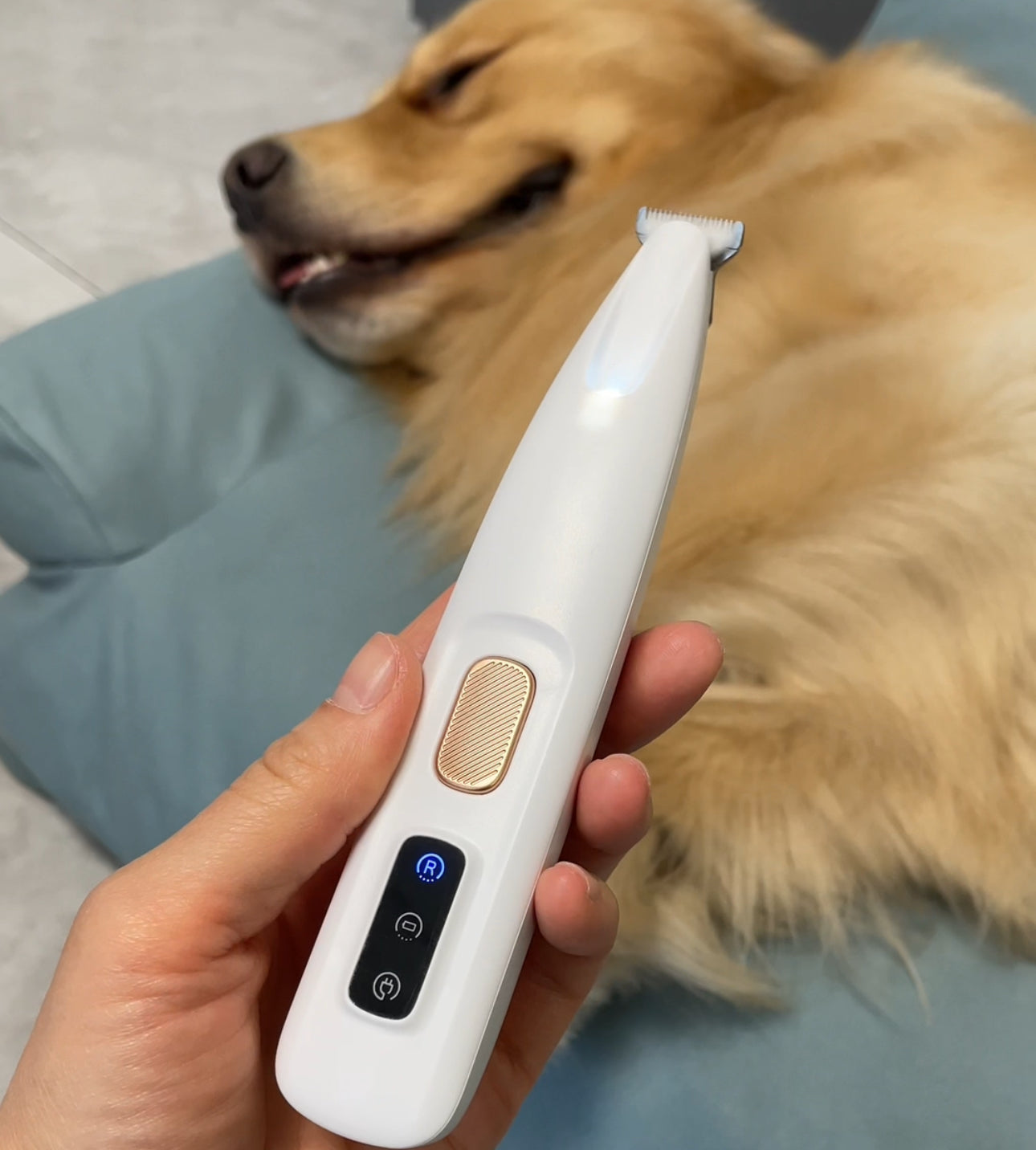 EasyGroom Pro™