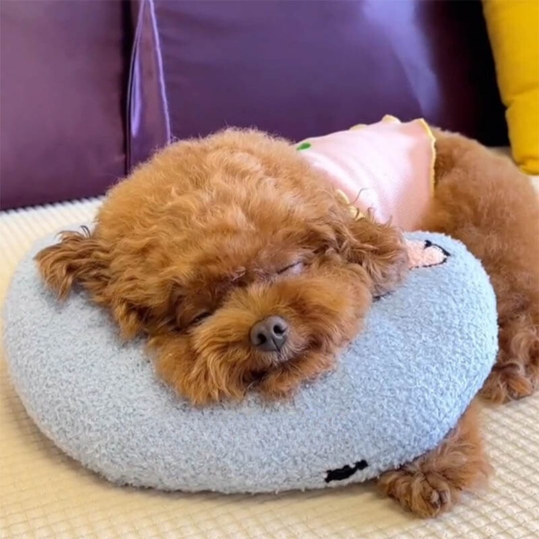 De Calmo | Ultiem comfort voor je hond.