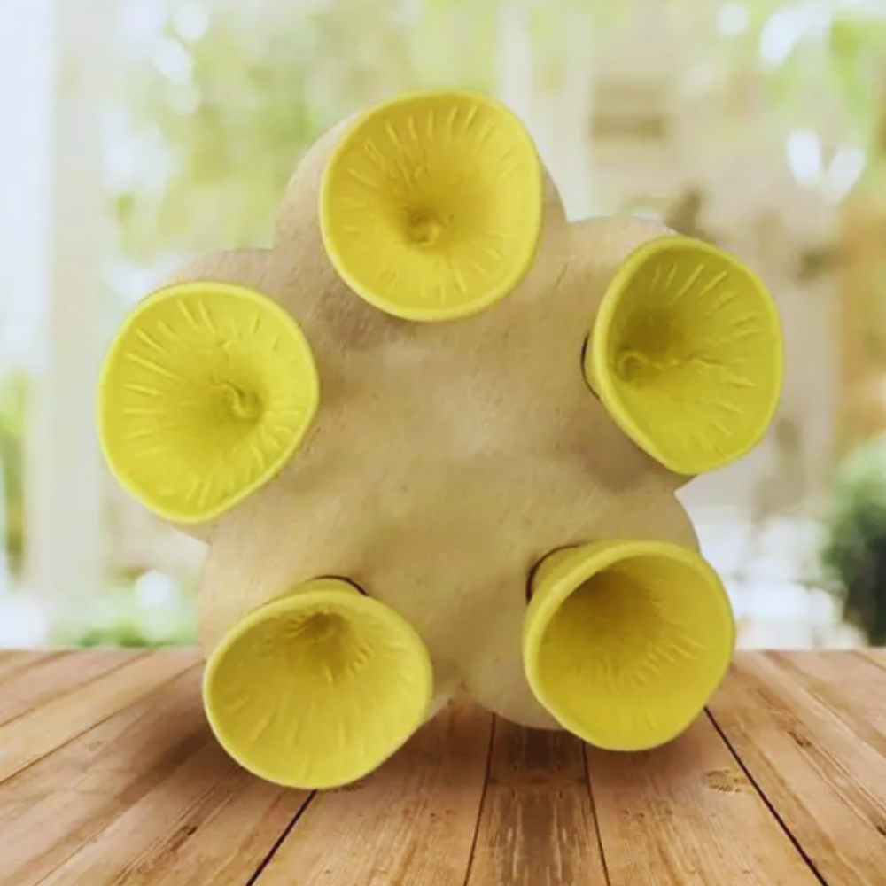 BeeCups - Bescherm de natuur, red de bestuivers!