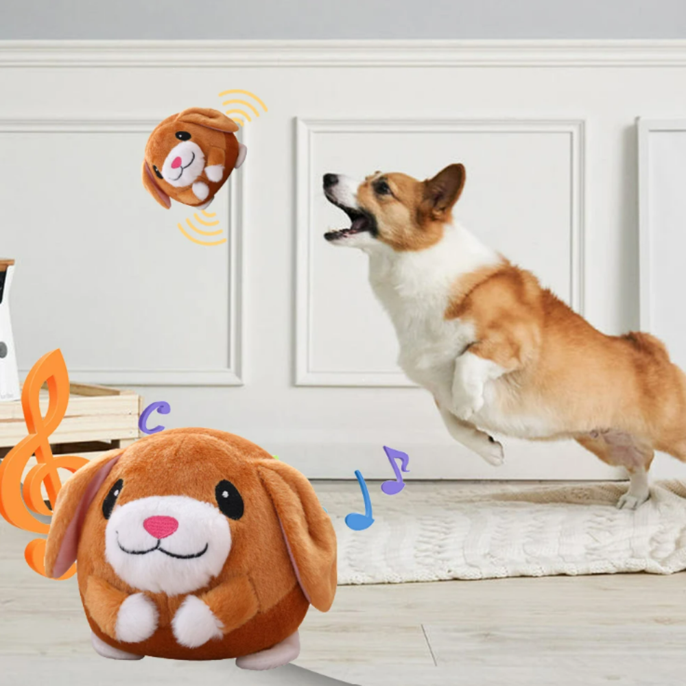 PawsPlay™ | Interactieve Hondenbal | Eindeloos Plezier