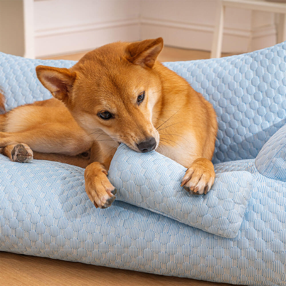 PetLoveSeat, Betaalbaar, Ademend, en Stijlvol