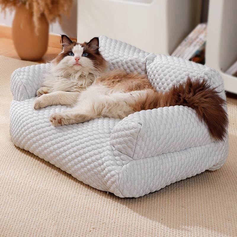 PetLoveSeat, Betaalbaar, Ademend, en Stijlvol