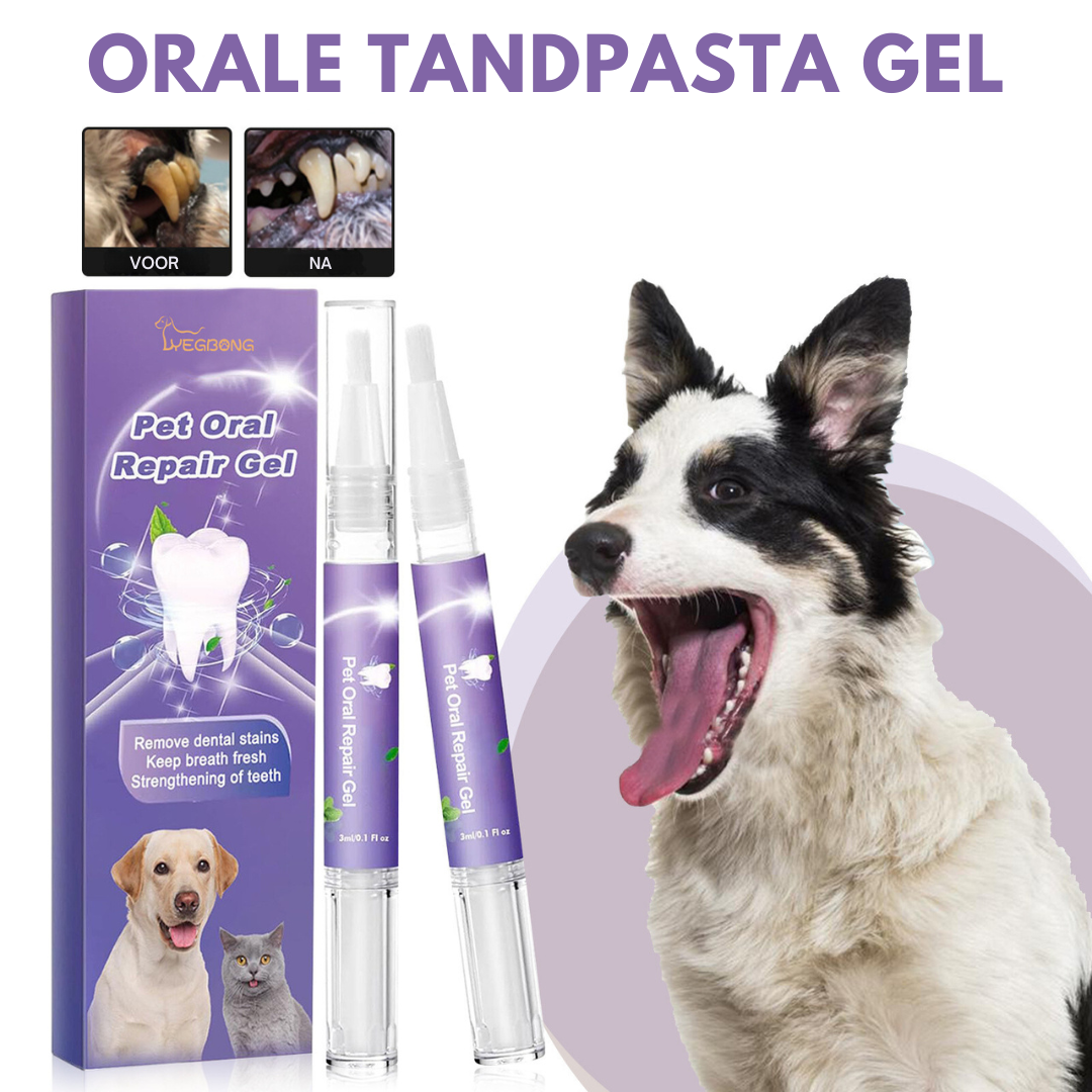 DentalGel™