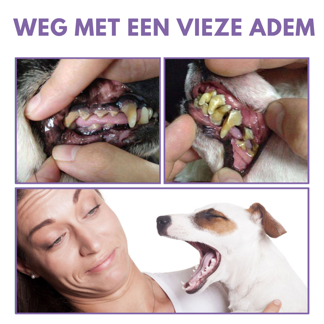 DentalGel™