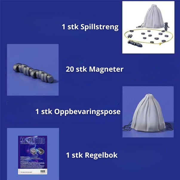 Magnetize - Ontwikkel je vaardigheden en strategie