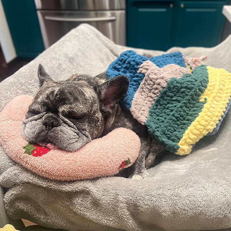 De Calmo | Ultiem comfort voor je hond.