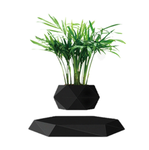 TrendBlend | LeviPot