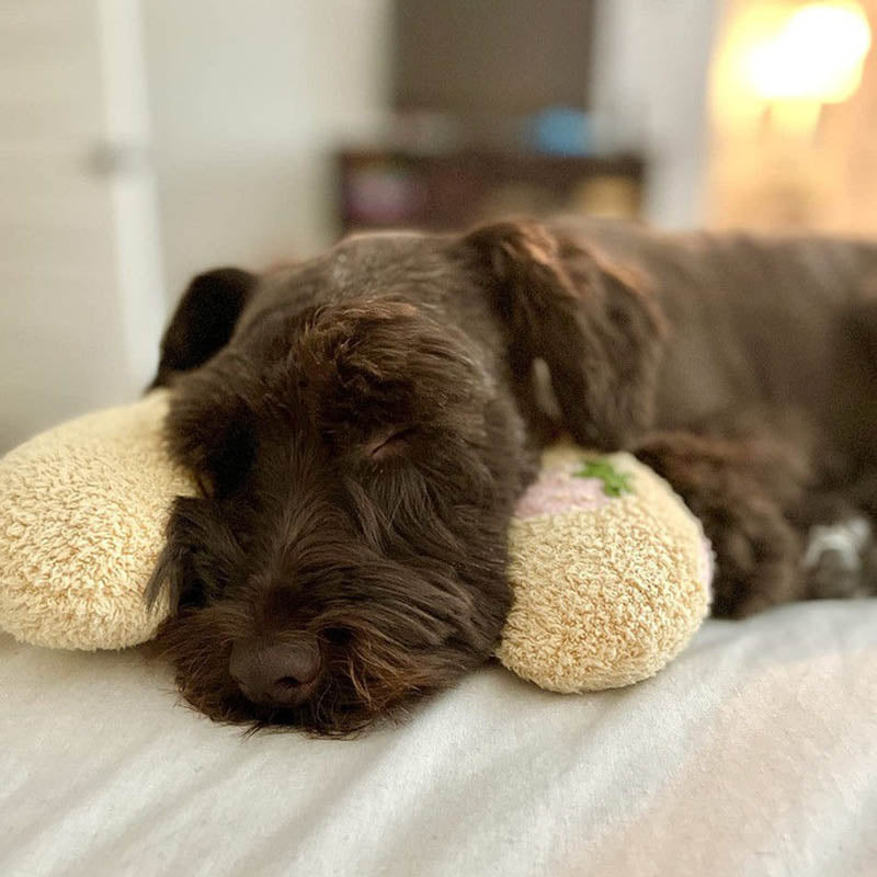 De Calmo | Ultiem comfort voor je hond.