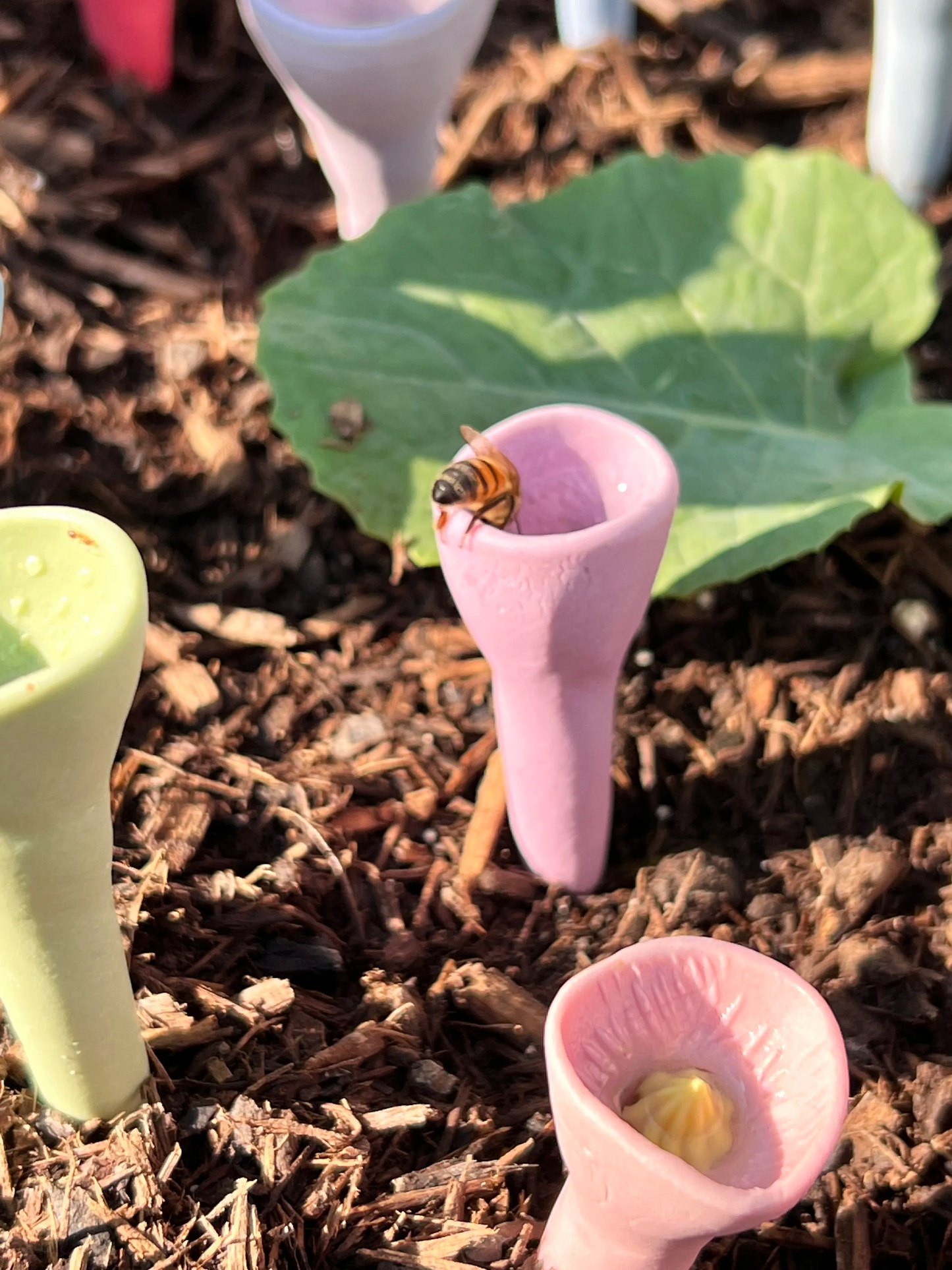BeeCups - Bescherm de natuur, red de bestuivers!
