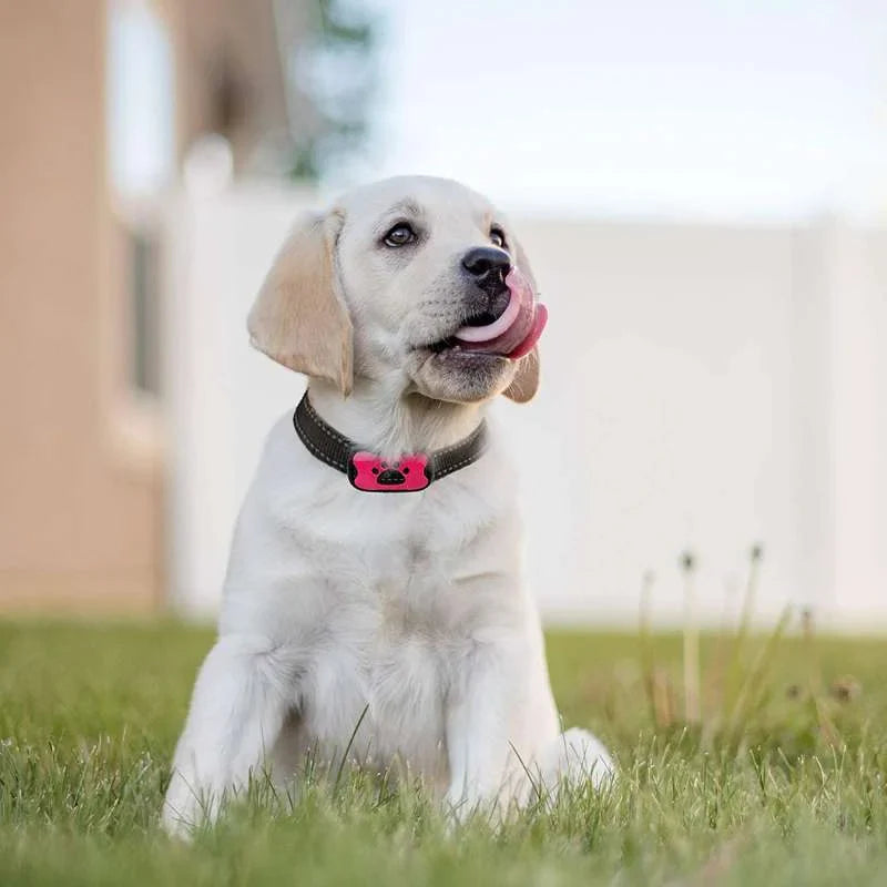 SilentBark™ | Het Ultieme Honden Trainingshalsband