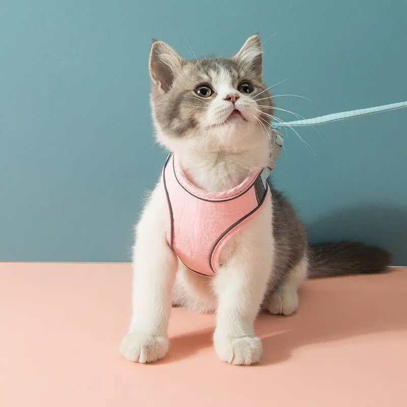 PurrTrail™ Kattenharnas + Riem | Dagactie: 1+1 GRATIS.