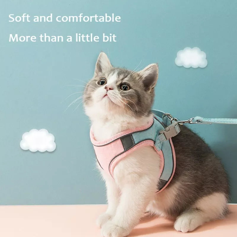 PurrTrail™ Kattenharnas + Riem | Dagactie: 1+1 GRATIS.