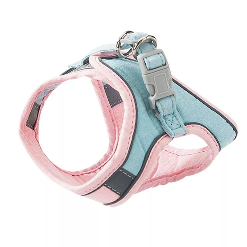 PurrTrail™ Kattenharnas + Riem | Dagactie: 1+1 GRATIS.