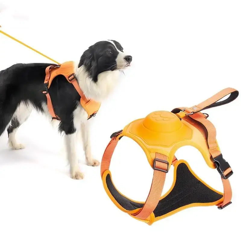 WalkEase | Uittrekbare Lijn voor Honden